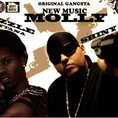 Shiny feat  Rizzle Montana - Molly
