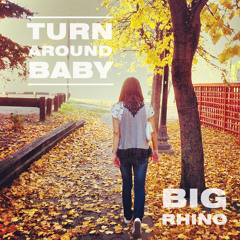 Turn Around Baby