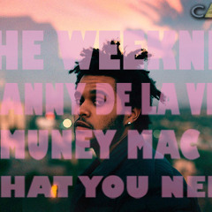 The Weeknd - What You Need ft. Danny De La Vie & Muney Mac