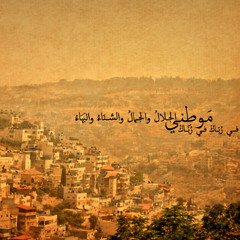 Mawtni - Hani Metwasi (ft. Pedro Eustache)  |  هاني متواسي - موطني