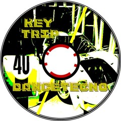 Key trip dancetecno 2013 dorikial&minimalrec