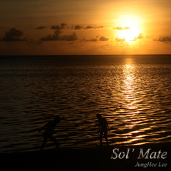 Sol' Mate (2012 Mix)