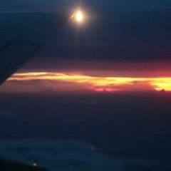 FLIGHT (YVR/SYD) - greyhound SHM