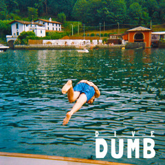 Dumb - Dive (Radio Edit)
