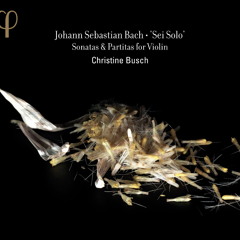 BACH - Partita n°2 in D minor, BWV 1004 - Allemande