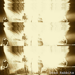 Dead Rabbits - Pulling The Trigger
