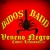 Artwork for Veneno Negro -Budos Band Cover