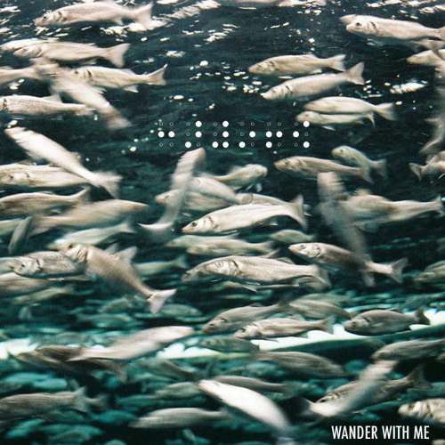 Wander With Me - Andreas Buchner (Kalipo Remix)