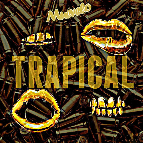 Baauer - Yaow (Subtropixx Remix) ⚓ featured on Mad Decent & Clubtapes.com [24bit Wav for DL] ⚓