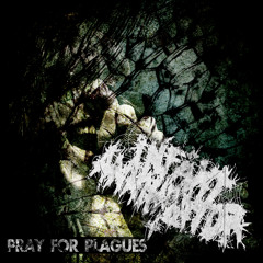 Pray For Plagues (BMTH Cover)
