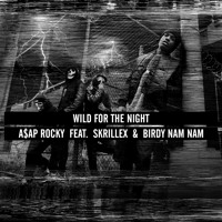 A$AP Rocky - Wild For The Night