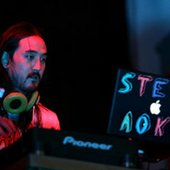 Steve Aoki