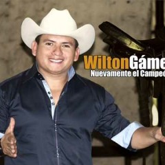 Música Llanera- Prisionero de tus Besos, Wilton Gámez