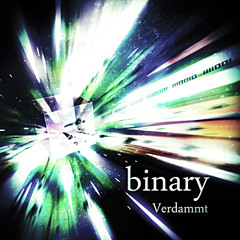 binary (8bit)