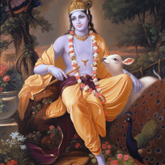 Madhava lata