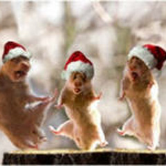 Новогодняя песенка