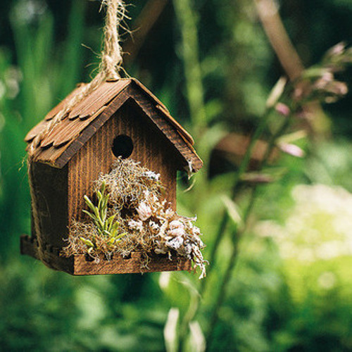 الله يوُسفَ قد وهَب ♥