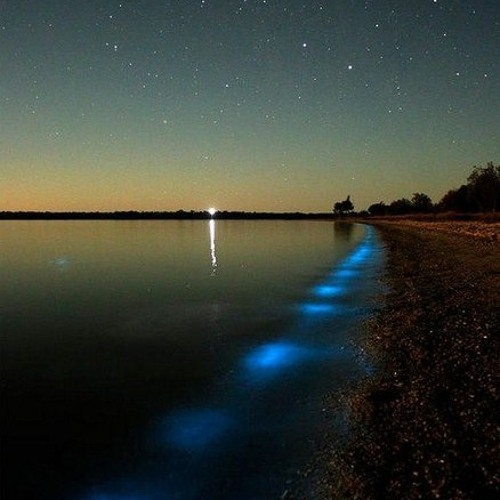 Julia Zenkina - Written On The Sky (Max Richter cover)