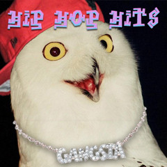Hip Hop Hits