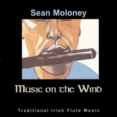 Sean Moloney: Music on the Wind. Track 21. Flute/Harp. (Traditional Irish Flute)