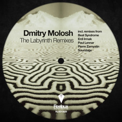 Dmitry Molosh - The Labyrinth (Paul Lennar's Intro Remix) Reelaux Digital (Preview) GlobalDanceRadio