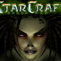 Projex D - Life of the Starcraft Units