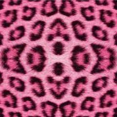 ♫Pepe  Tovar y sus chacales ♫