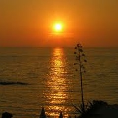 Alex M.O.R.P.H. feat. Shannon Hurley - Monday Morning Madness (Original Mix)