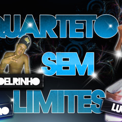 Montagem - O Novinha Safadinha 2013 [ Quarteto Sem Limites ]