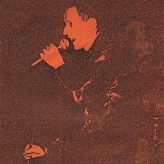 06 Sinalco Fluor S-Bastard (live at "Jung & Wild" Festival, Saarbrücken 1981)