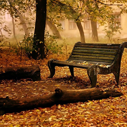 Thumbnail Alireza Mohammadi Autumn Memories Instrumental