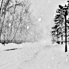 oliver melan - snowfall _ 2013-01-04