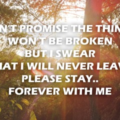 stay for tonight (sws cover)