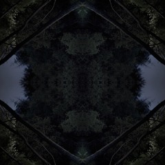 Night and Rain in Mountain