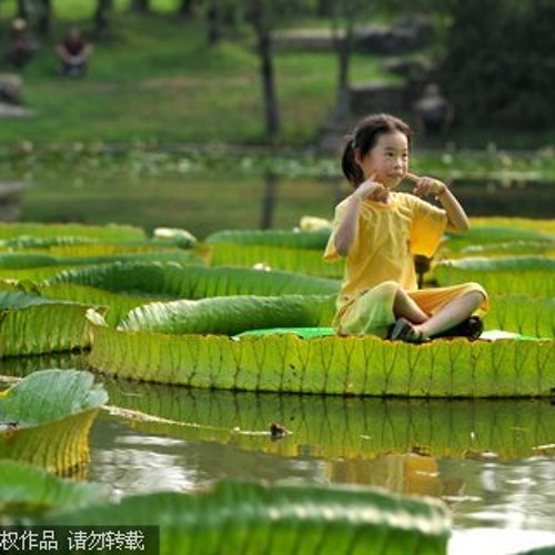 psyjah-walkin on lotus leafs