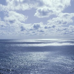 Danny Feng: By The Ocean