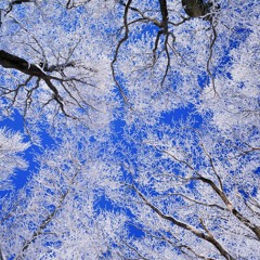 Dubstep + Vocal  ( In and out of love)