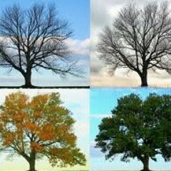 REAL HIPHOP 2K13 @TruthAlexZander Seasons Change. (Prod). by @LzyKnucks ORIGINALITY