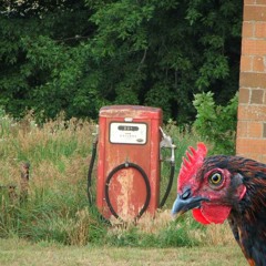Chicken 'n Gas