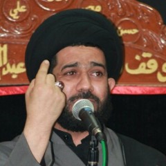 السيد الصافي