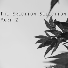 The Erection Selection Part 2