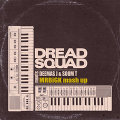 Dreadsquad meets Deemas J & Soom T (MRBiGK mash up) - International Riddim