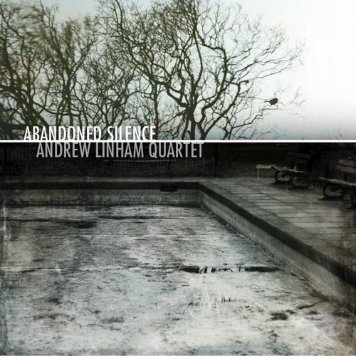 Too Close To Notice - Abandoned Silence Album Version