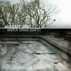 I Will Not Forget You - Abandoned Silence Album Version