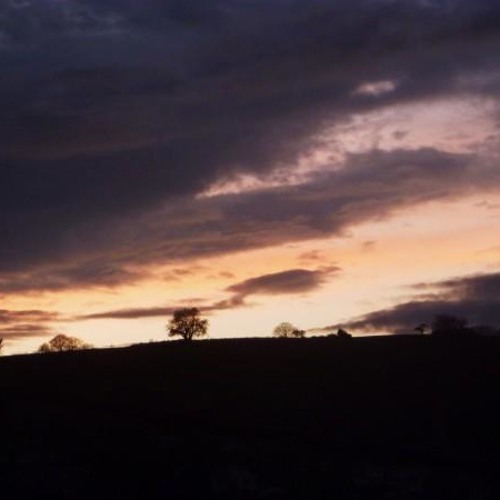 Dimming Of The Day (Richard Thompson)