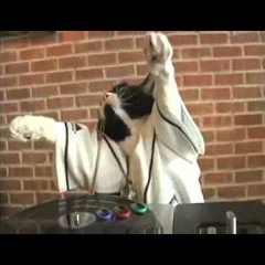 REMIX LEVELS DJ C