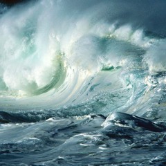 SHS_contra viento y marea