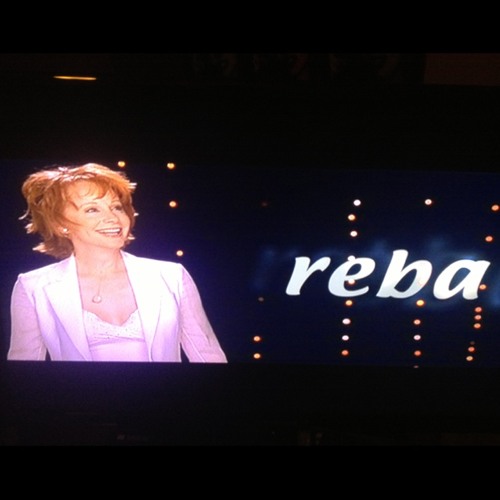 im a survivor reba theme song