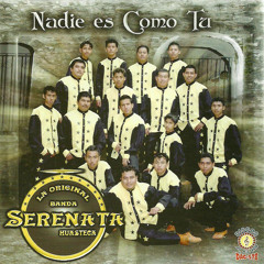 La Original Banda Serenata Huasteca - Nadie Es Como Tu
