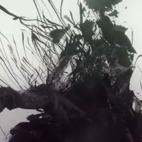 Linkin Park - Lost In The Echo (DiiSTORTiiON Remix) Dj Edit [FREE DOWNLOAD]